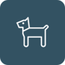 Veterinary Icon