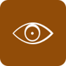 Vision Icon